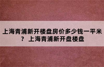 上海青浦新开楼盘房价多少钱一平米？ 上海青浦新开盘楼盘